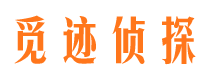 靖安市调查取证